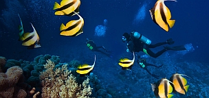 Kite Surfing Diani Beach Scuba Diving